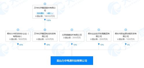 萬華化學進軍新能源領域 煙臺投資2億元設立電源科技公司，賦能數字文創內容應用服務