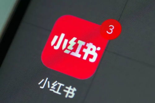 24小時內兩筆投資曝光 小紅書跨界布局數字文創，是“不務正業”還是謀篇“大棋”？